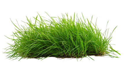PNG Cutout of Beautiful Lawn Grass with a Transparent Backdrop for Instant Use in Any Creative Work