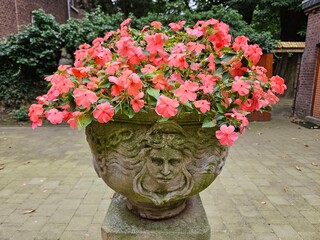 Large cement flower planter container overflowing with orange colored Impatiens flowers.
