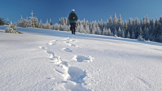 Girl with dog walking through snow among trees covered snow. Winter hike in mountains. Adventures in mountains.