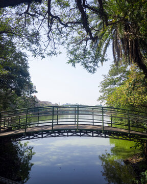 bridge over river