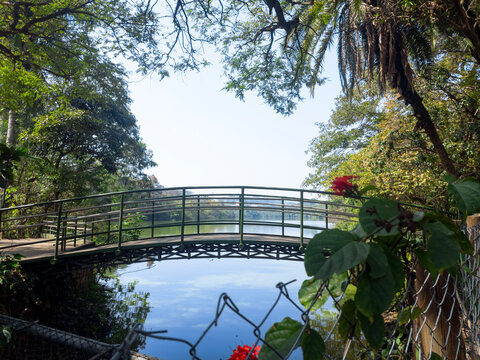 bridge in the park