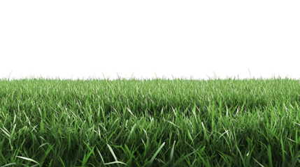 High-Quality PNG Cutout of Lush Green Lawn Grass with a Transparent Backdrop for Seamless Editing