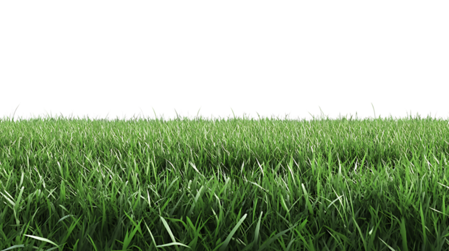 High-Quality PNG Cutout of Lush Green Lawn Grass with a Transparent Backdrop for Seamless Editing
