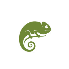 Chameleon Vector Logo Design