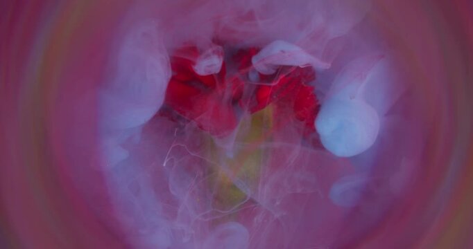 Smoke twist. Mist flower. Elegant live glow red carnation blue spray ink circle defocused flower pink fume water abstract color background.
