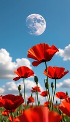 Obraz premium Red poppies sway in a vibrant field under a bright moonlit sky with fluffy clouds at dusk