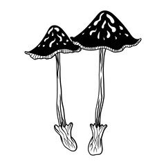 Mystical mushroom in doodle style, outline, silhouette. Whimsical, fantastic mushroom.