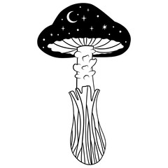 A mystical fly agaric mushroom illustrated in a lovely black-and-white doodle style.