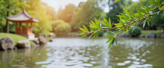 Gentle bamboo branch swaying above koi pond, tranquility in nature