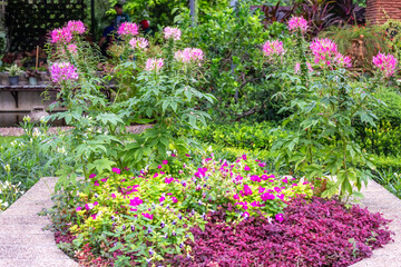 Composition of tropical flowers and plants with lush green leaves. Landscape design