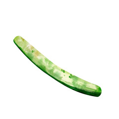 Cucumber in a section. Watercolor illustration. A slice of green vegetable. Farm fresh organic products. Antioxidant. For background, packaging, label.