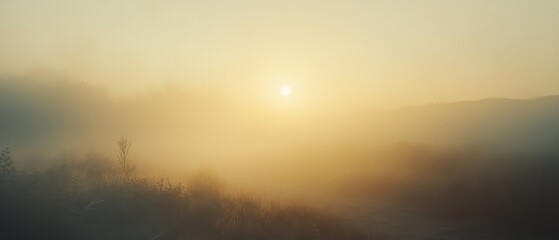 Obraz premium A golden sunrise envelops a mist-covered meadow, casting a serene and ethereal glow across the natural landscape, evoking tranquility and peace.