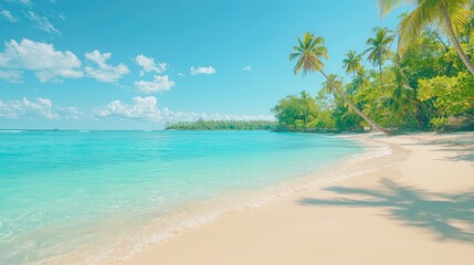 Fototapeta premium A serene tropical beach with soft white sand, turquoise water, and lush palm trees under a bright blue sky.