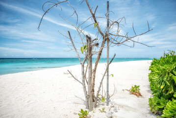 Aerial view of tropical island with white sand beach and turquoise ocean, Maldives