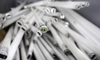 Old fluorescent light bulbs