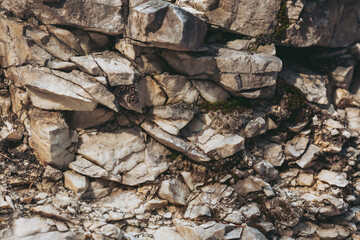 Rock formations display intricate layers of textured stone and gentle moss, capturing the serene beauty of the forest floor in soft, diffused light at midday