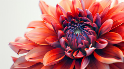 A bold and fiery red-orange dahlia in full bloom, with intricate petals unfolding in a mesmerizing pattern