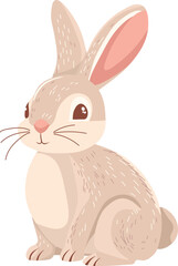 cute bunny vector illustration. vector flat illustration on white isolated background