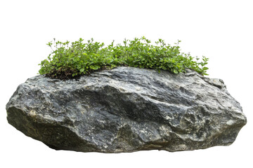 Rock isolated transparency background. 
