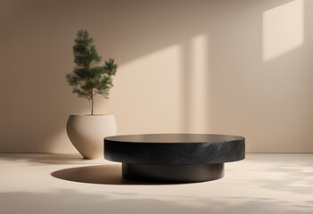 Minimalist Black Platform with Single Green Plant – Natural Tones & Textures for Product Display

