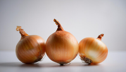 Fototapeta premium Fresh onion. Organic and tasty vegetable. Natural farm product.