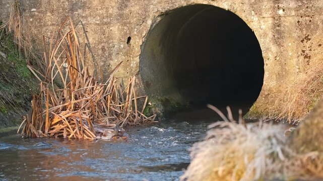 Water Stream Flowing through Stormwater System Drain Outlet Conrete Culvert into Reinforced Regulated Canal