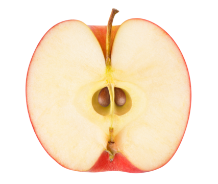 Red apple cross section cutout