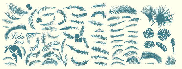 Set of palm leaves. Hand drawing. Not AI, Vector illustration.
