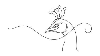 Elegant Peacock Line Art Singleline Bird Drawing, Minimalist Design