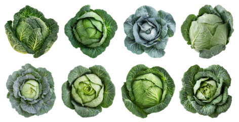 isolated heads of green cabbage
