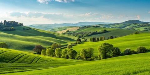 Fototapeta premium landscape with green field and blue sky