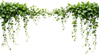 Cascading Green Vines Border