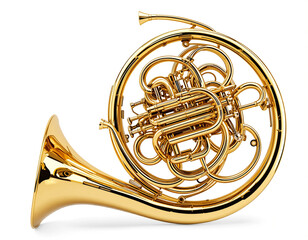 Majestic Harmony: The Timeless Elegance of the French Horn