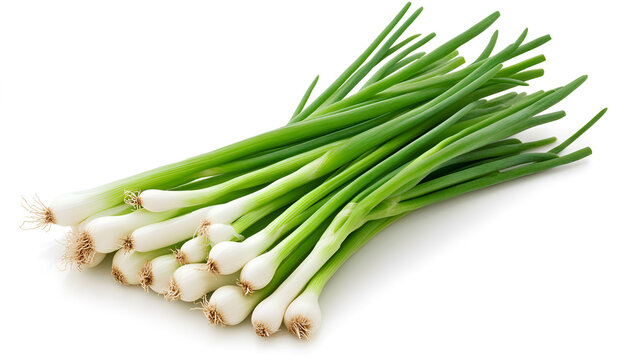 Lots of fresh green onions isolated on white