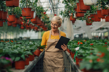 Happy old female florist with tablet checking on flowers at hothouse.