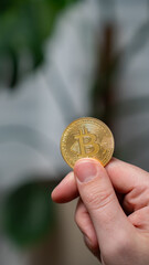 Bitcoin on the background of charts, green screen.Bitcoin under government pressure – regulations...