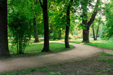 Tranquil park with winding path, lush trees, ideal for strolls and picnics