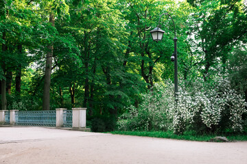 Deserted park with a lamp post and a stone bridge in the background