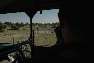 Tourist taking a pictures of a giraffe standing near a watering hole from a car window in a national park in Etosha, Namibia