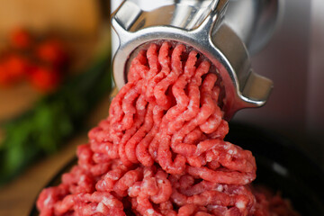 Concept of healthy and proper nutrition, cooking.Close-up of red ground beef with fat streaks...