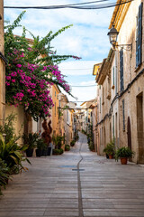 narrow street in the old town