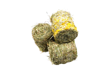 Heuballen mit Blüten freigestellt