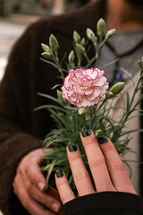 Present flower in a pot 