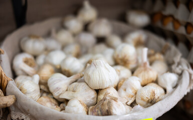 Garlic in basket on counter in market closeup