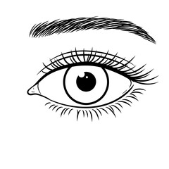 female eye sketch 