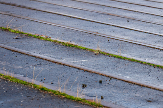 close-up of railway tracks with overgrown moss.
