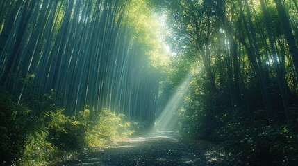 Fototapeta premium Sunlight Shining Through Bamboo Forest Path Creating a Serene Nature Scene