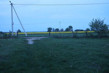 water drops on the road