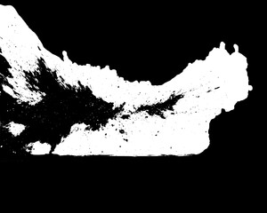 Fototapeta premium Abstract Spatter Art - Black and White Explosion