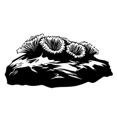 mushrooms on rock vector illustration